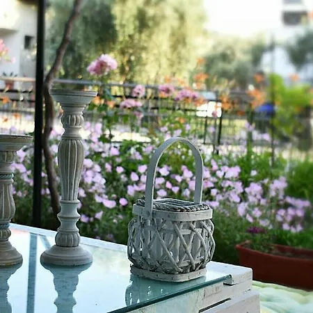 Foteini Skala Sotiros